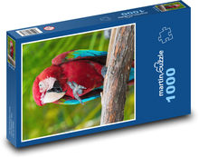 Vogel - Papagei, Zoo Puzzle 1000 Teile - 60 x 46 cm