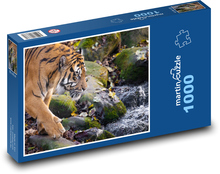 Tygr - zvíře, voda Puzzle 1000 dílků - 60 x 46 cm