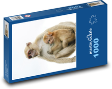 Opica - kuriatko, zviera Puzzle 1000 dielikov - 60 x 46 cm