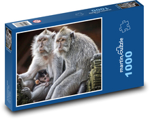Monkey - primate, mammal Puzzle 1000 pieces - 60 x 46 cm 