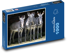 Zebry - zvieratá, zoo Puzzle 1000 dielikov - 60 x 46 cm 