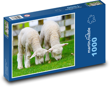 Ovce - jahňatá, zvieratá Puzzle 1000 dielikov - 60 x 46 cm 
