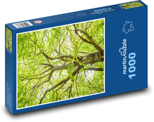 Strom - buk, listy Puzzle 1000 dielikov - 60 x 46 cm
