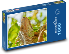 Leguán - plaz, jašterica Puzzle 1000 dielikov - 60 x 46 cm 