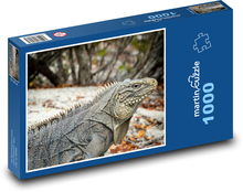 Leguán - jašterica, plaz Puzzle 1000 dielikov - 60 x 46 cm 