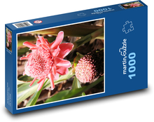 Passionflowers - rainforest, flowers Puzzle 1000 pieces - 60 x 46 cm 