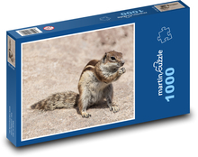 Veverka - hlodavec, zvířata Puzzle 1000 dílků - 60 x 46 cm