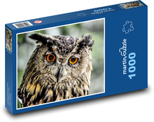 Owl - owl, bird Puzzle 1000 pieces - 60 x 46 cm 