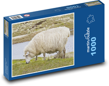 Sylt - Řecko, ovce Puzzle 1000 dílků - 60 x 46 cm
