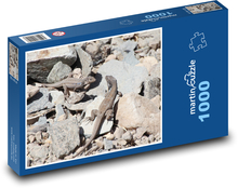 Ještěrky - kanárské ostrovy, zvířata  Puzzle 1000 dílků - 60 x 46 cm