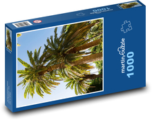 Santa Cruz - Tenerife, Španělsko Puzzle 1000 dílků - 60 x 46 cm