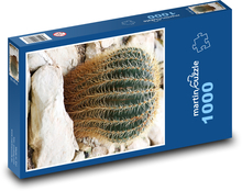 Kaktus - Pflanze, Blume Puzzle 1000 Teile - 60 x 46 cm
