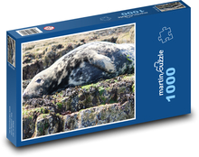 Uszczelka stożkowata - skały, zwierzę Puzzle 1000 elementów - 60x46 cm