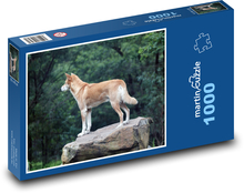 Dingo - Wildhund, Australien Puzzle 1000 Teile - 60 x 46 cm