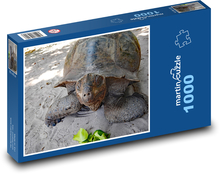 Obrie korytnačka - plaz, zviera Puzzle 1000 dielikov - 60 x 46 cm 