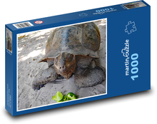 Giant turtle - reptile, animal Puzzle 1000 pieces - 60 x 46 cm 