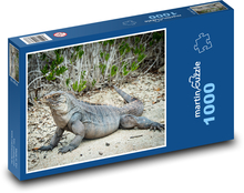 Leguán - jašterica, plaz Puzzle 1000 dielikov - 60 x 46 cm 