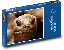 Turtle - reptile, animal Puzzle 1000 pieces - 60 x 46 cm 