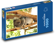 Medvídek koala - zvíře, savec Puzzle 1000 dílků - 60 x 46 cm