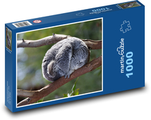 Koala - Beuteltier, Tier Puzzle 1000 Teile - 60 x 46 cm