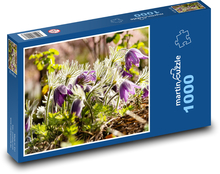 Květiny - krokusy, jaro Puzzle 1000 - 60x46 cm