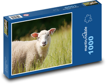 Ovce na pastvinách Puzzle 1000 dielikov - 60 x 46 cm 
