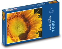 Sunflower - yellow flower, plant Puzzle 1000 pieces - 60 x 46 cm 