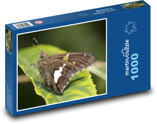 Motýľ - strieborná bodkovaná Puzzle 1000 dielikov - 60 x 46 cm 