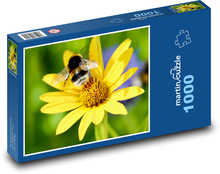 Hummel auf gelber Blume Puzzle 1000 Teile - 60 x 46 cm