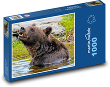 Medvěd ve vodě - grizly Puzzle 1000 dílků - 60 x 46 cm