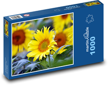 Sonnenblume - gelbe Blume Puzzle 1000 Teile - 60 x 46 cm