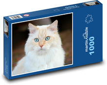 Bílá kočka domácí Puzzle 1000 dílků - 60 x 46 cm