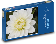 Weiße Dahlienblüte Puzzle 1000 Teile - 60 x 46 cm