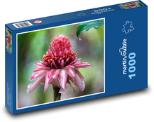 Waratah - Blume Puzzle 1000 Teile - 60 x 46 cm