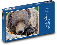 Hnedý medveď Puzzle 1000 dielikov - 60 x 46 cm 