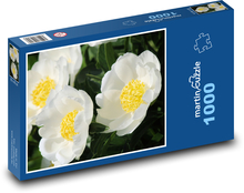 Weiße Pfingstrosen Puzzle 1000 Teile - 60 x 46 cm