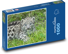 Mládě sněžného leoparda Puzzle 1000 dílků - 60 x 46 cm