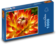 Dahlienblume - Gartenblume Puzzle 1000 Teile - 60 x 46 cm