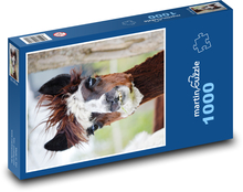 Llama - alpaca, animal Puzzle 1000 pieces - 60 x 46 cm 