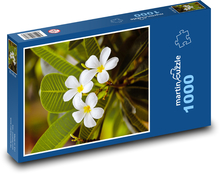 Biely kvet - kvet, záhrada Puzzle 1000 dielikov - 60 x 46 cm 