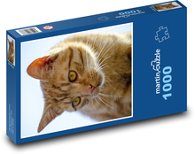 kot, zwierzę Puzzle 1000 elementów - 60x46 cm