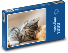 Spící kočka - mládě, zvíře Puzzle 1000 dílků - 60 x 46 cm