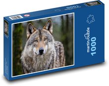Vlk - zvíře, šelma Puzzle 1000 dílků - 60 x 46 cm