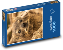 Daman - Afrika Puzzle 1000 dielikov - 60 x 46 cm 