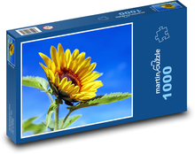 Rozkvetlá slunečnice Puzzle 1000 dílků - 60 x 46 cm