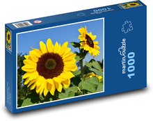 Słoneczniki - żółte kwiaty Puzzle 1000 elementów - 60x46 cm