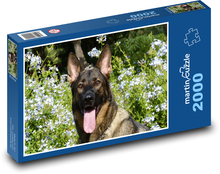 Dog - German shepherd Puzzle 2000 pieces - 90 x 60 cm