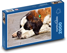 Sweet canine dreaming of St. Bernard Puzzle 2000 pieces - 90 x 60 cm