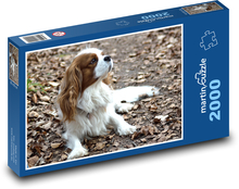 Pes Puzzle 2000 dielikov - 90 x 60 cm