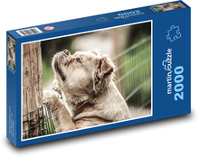 Przemyślany pies przy ogrodzeniu Puzzle 2000 elementów - 90x60 cm